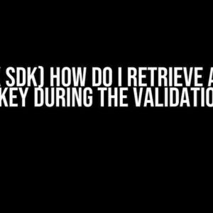 (Splunk SDK) How do I retrieve a stored REST API key during the validation stage?